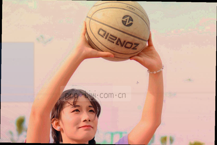 必一BSPORTS数据更新通道流程示意